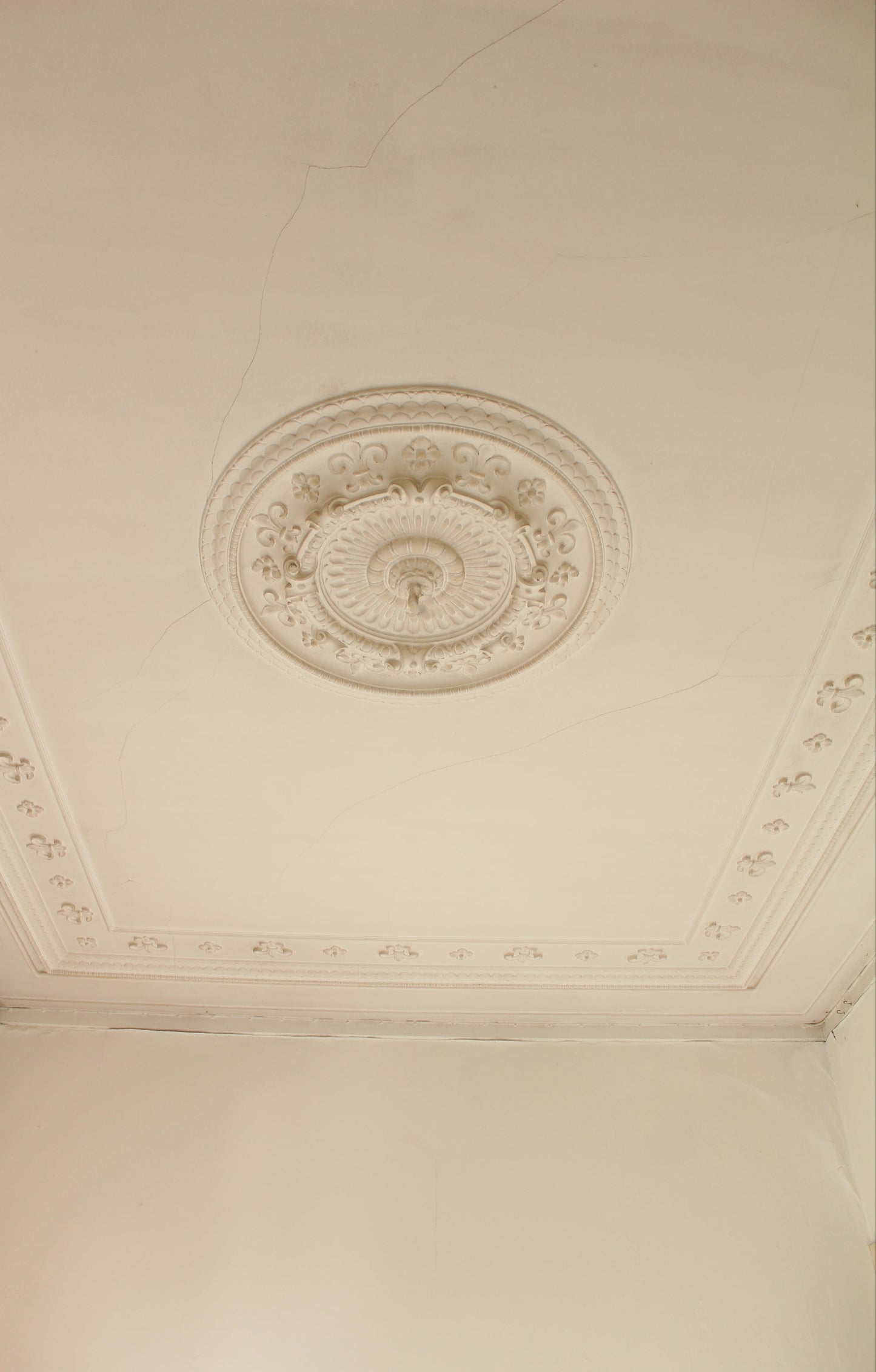 CLASSIC | Maternity photoshoot (1 hour)